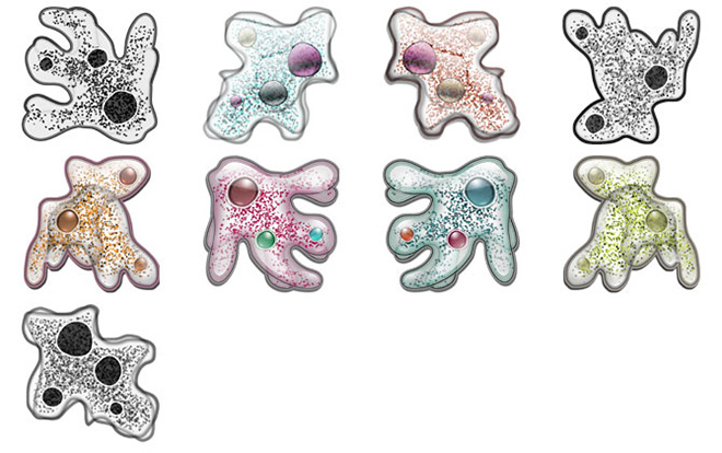 Amoebar icons
