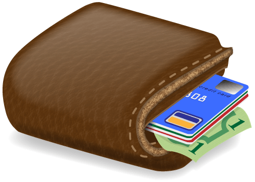 Vector Wallet